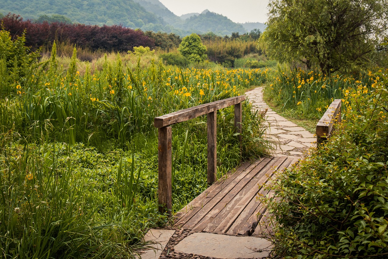 울산동구이사화물차