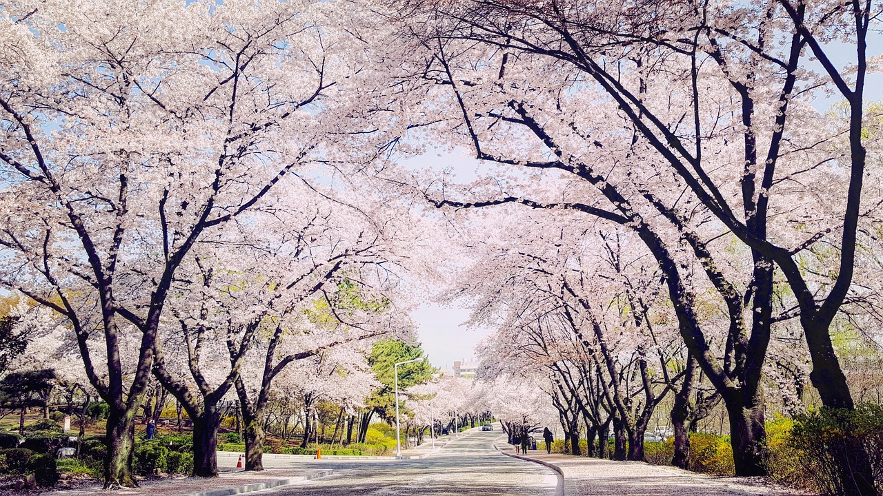 다마스이사 대구 이사몰