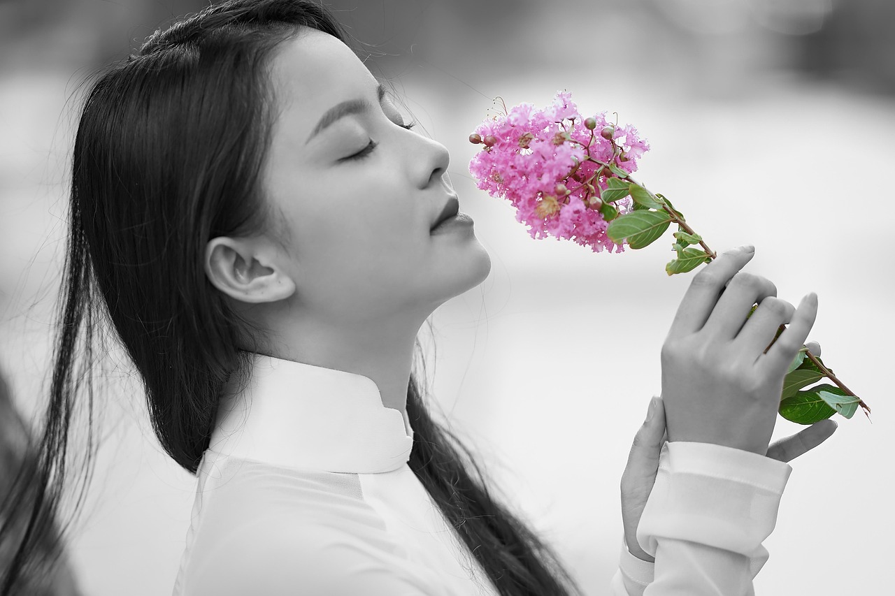 이사비 카드납 되나요
