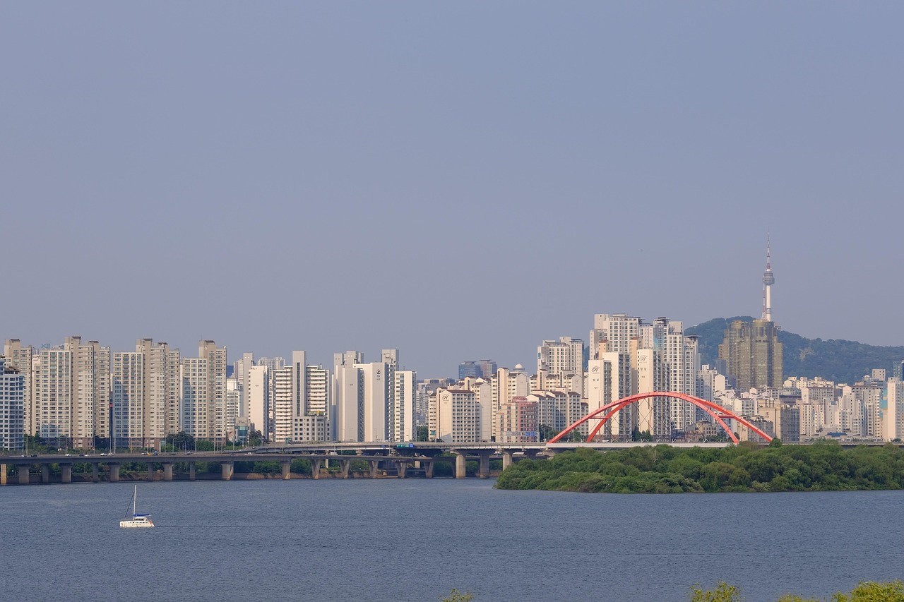 여의도 이사
