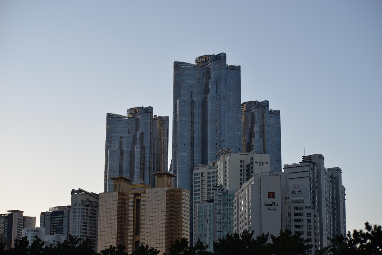 부산 일반이사