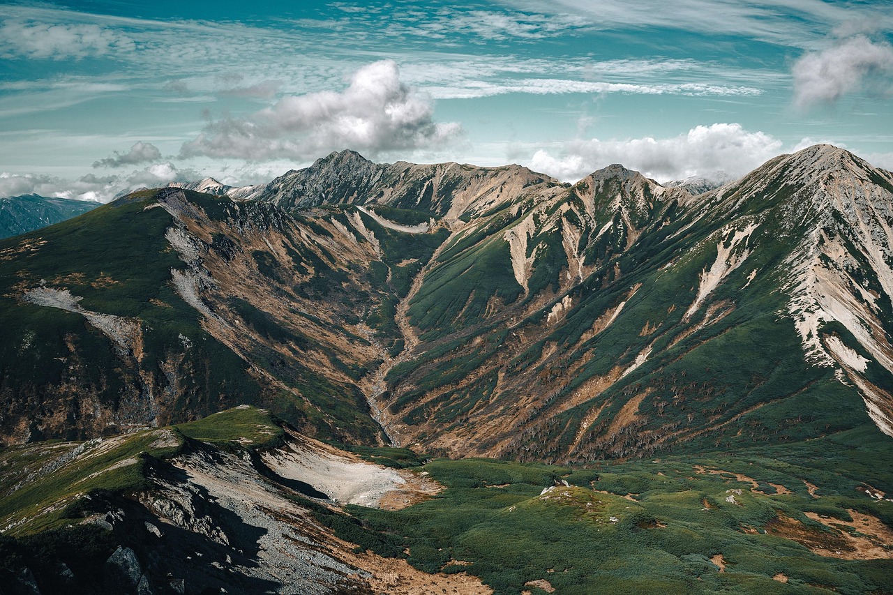 울산부산이사