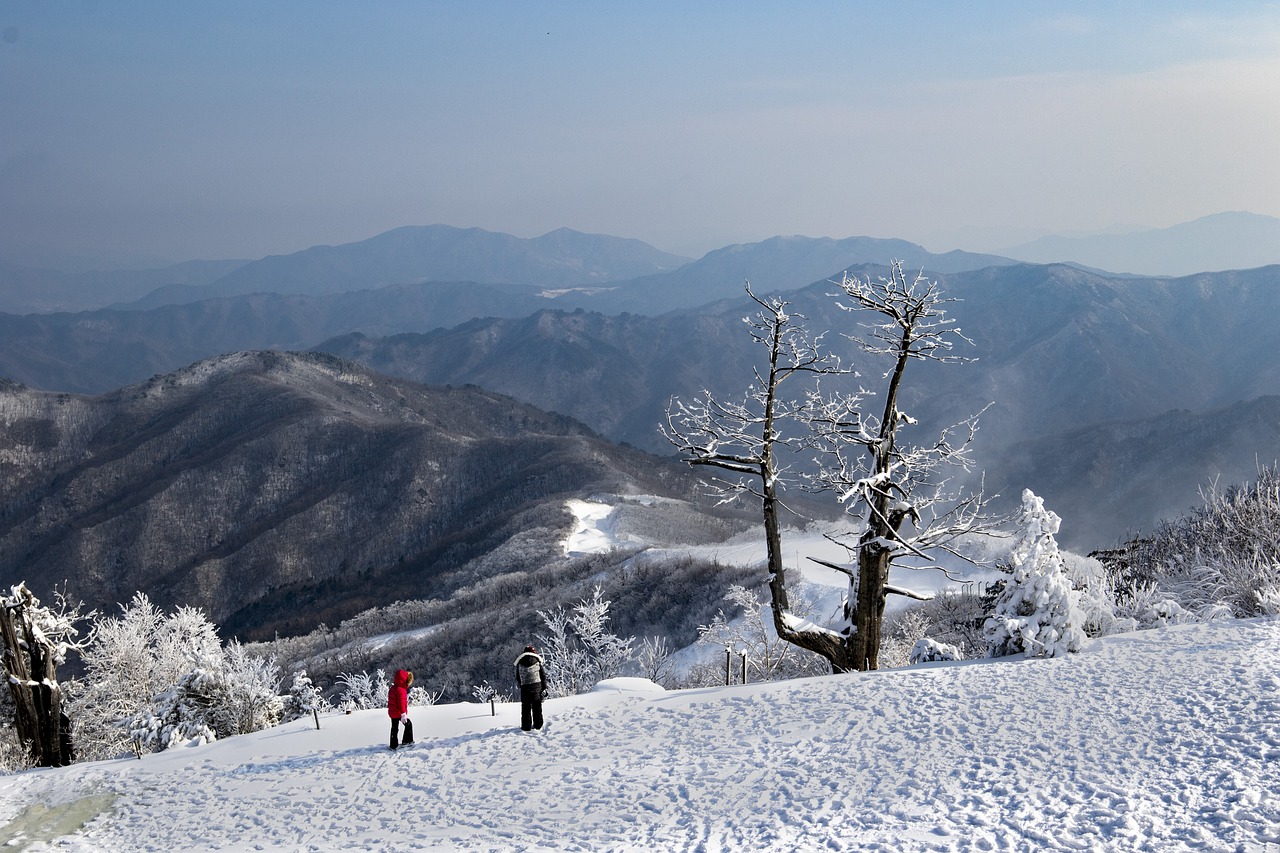 울산용달차