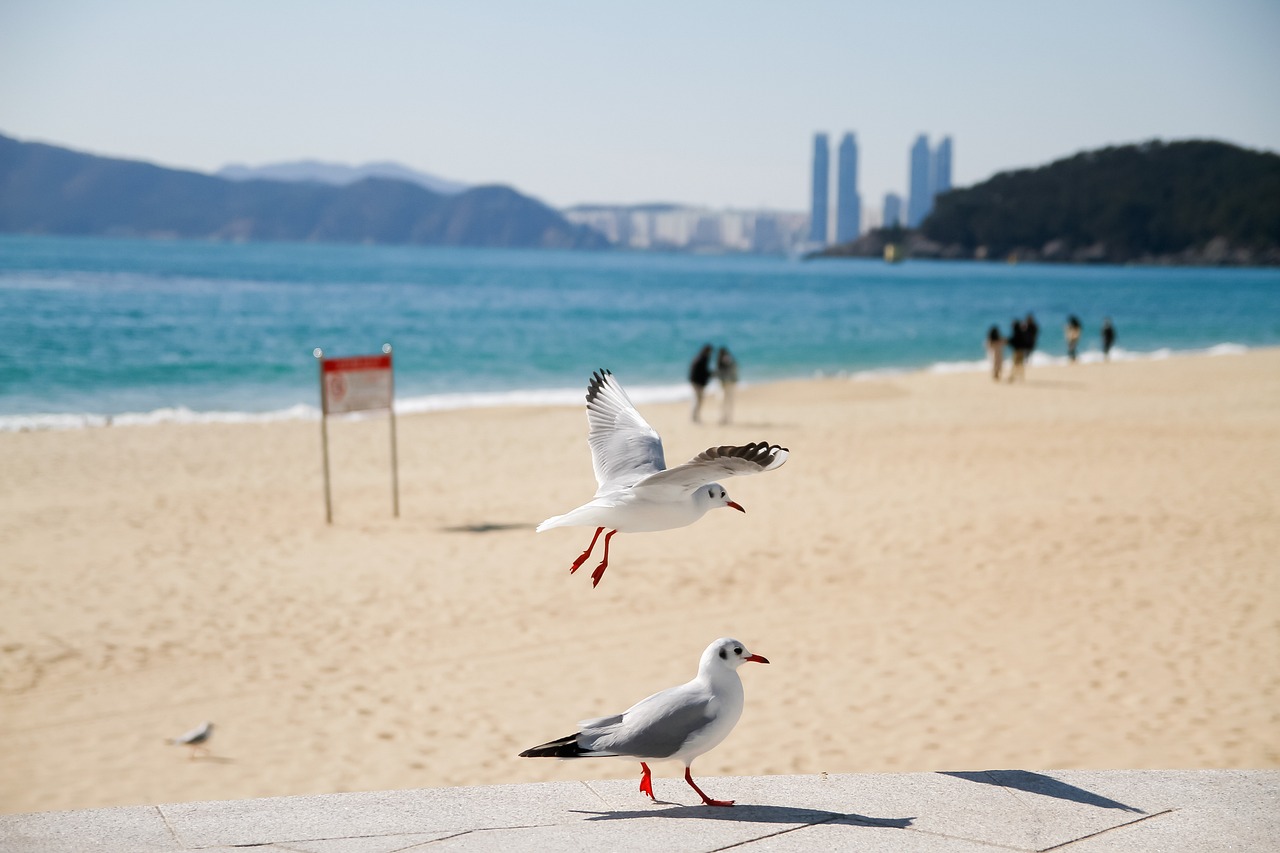 부산 일반이사