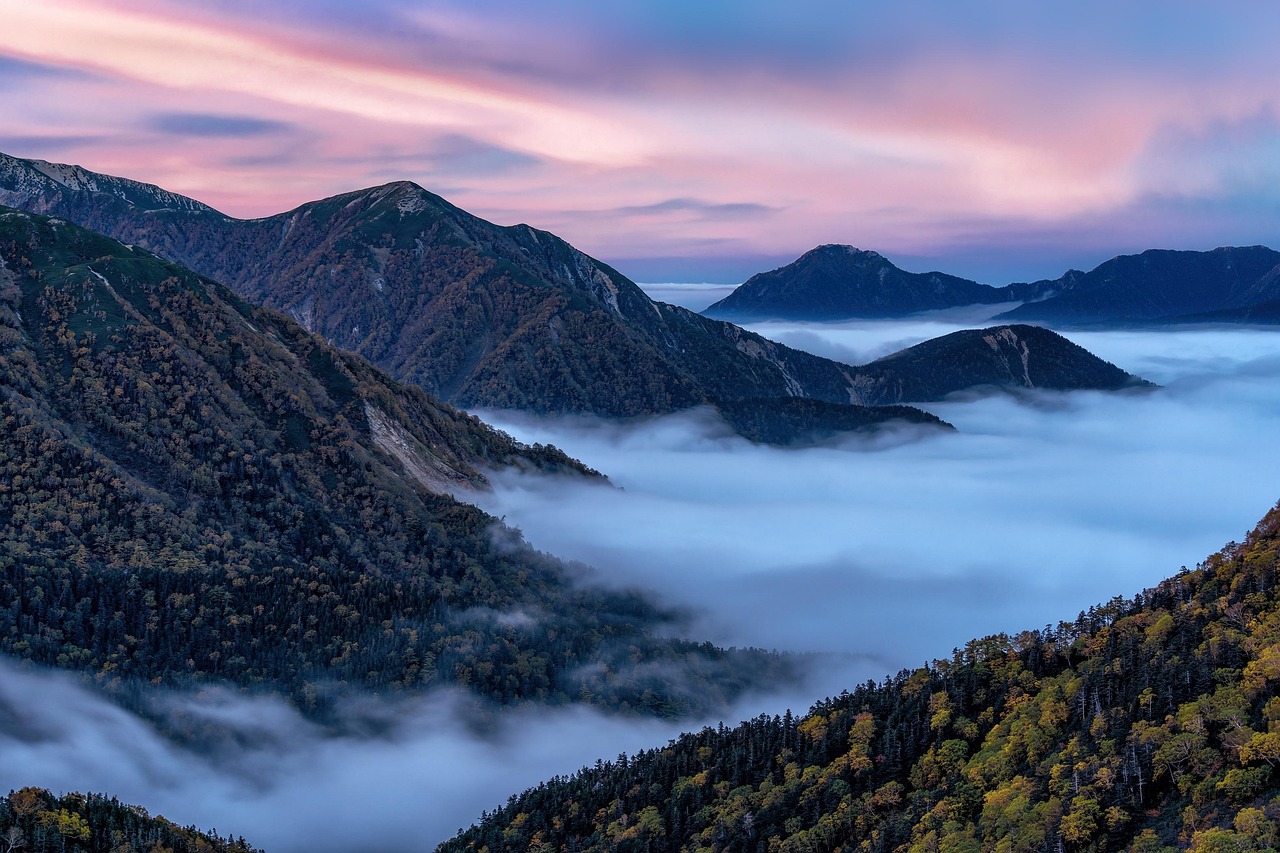 부산이사