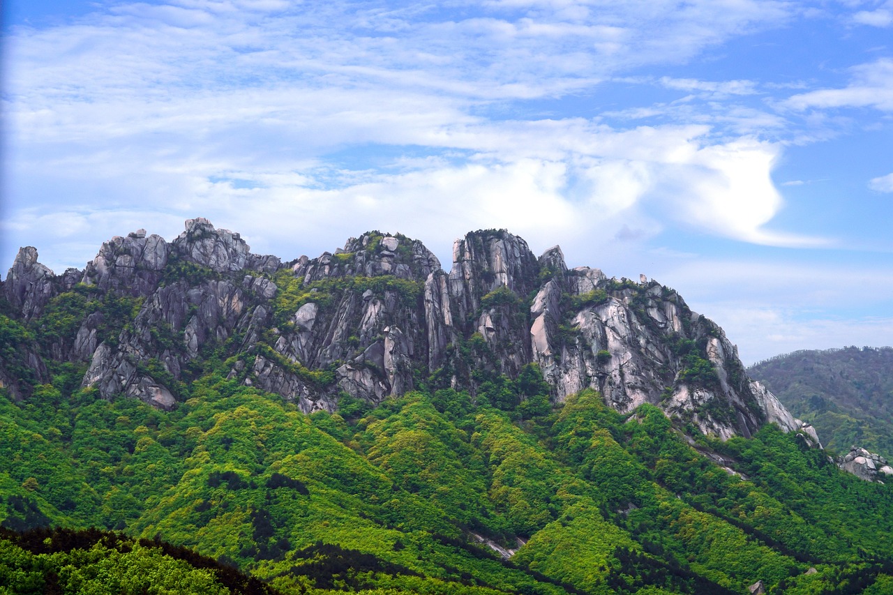 울산부산이사