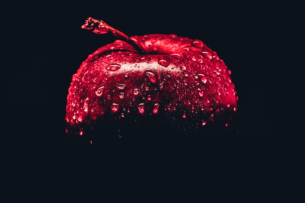 경기도 수원시 팔달구 포장이사 견적 비용