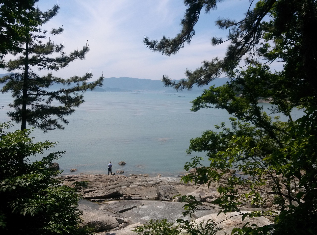 골다공증