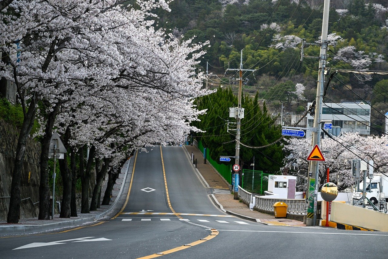 부산남구렌트카