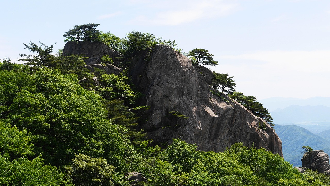 전라북도 전주시 완산구 공장사무실 이사