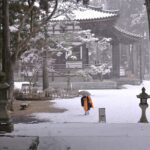명상지도사로서의 성공을 위한 5가지 핵심 요소 알아보자