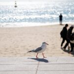 부산이삿짐센터 선택 시 알아보아야 할 4가지 포인트