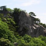 전라북도 전주시 완산구 공장사무실 이사 꿀팁